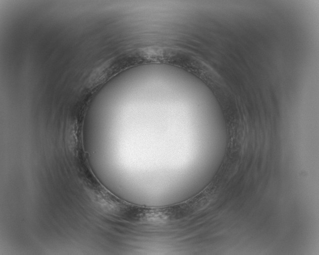X0000054450702200508121911