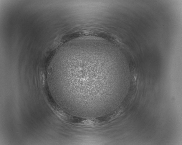 X0000054450703200508121911