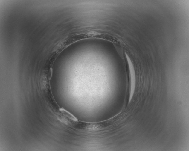 X0000054450704200508121911