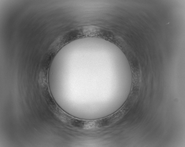 X0000054450705200508121911