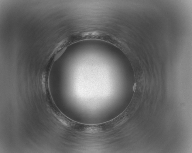 X0000054450708200508121911