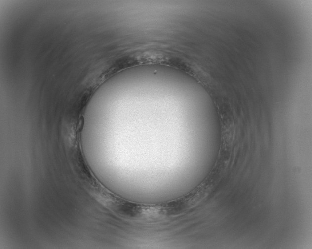 X0000054450709200508121911