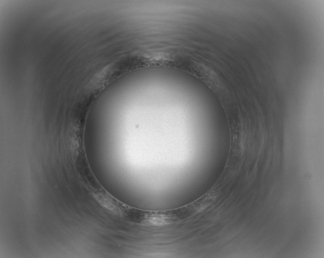 X0000054450710200508121911