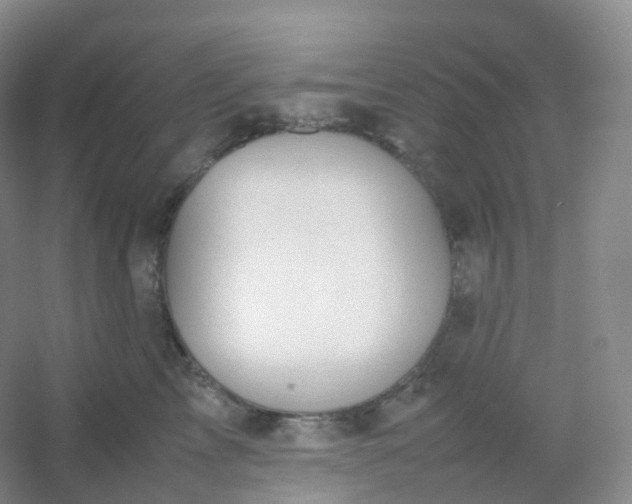 X0000054450713200508121911