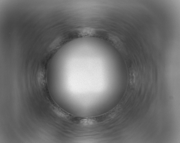 X0000054450714200508121911