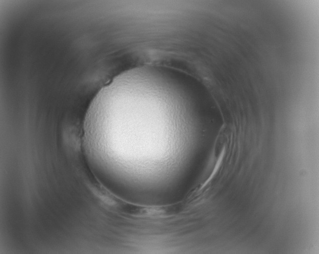 X0000054450719200508121911