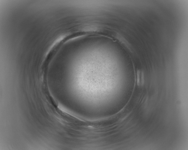 X0000054450723200508121910