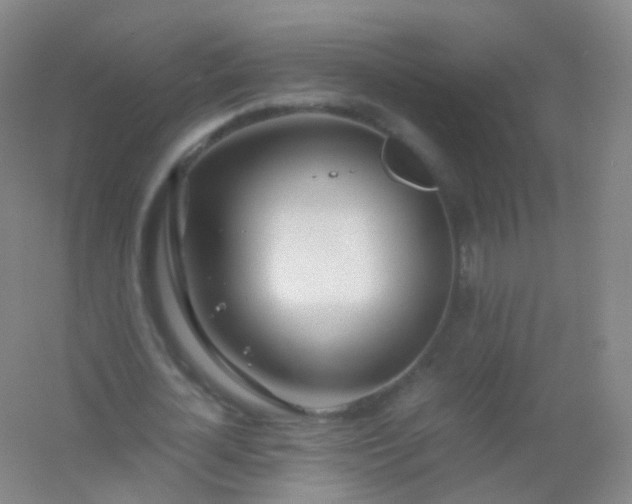 X0000054450724200508121910