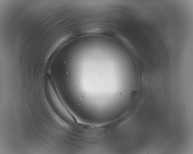X0000054450725200508121910