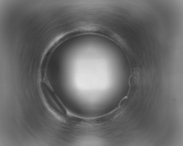 X0000054450726200508121910