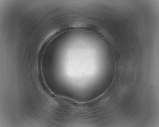 X0000054450727200508121910