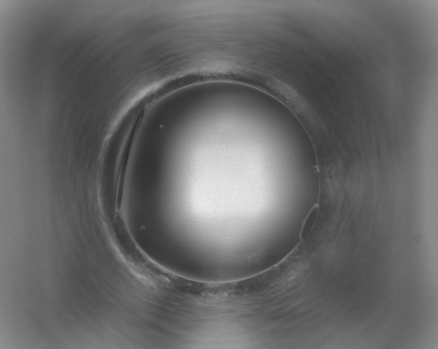 X0000054450728200508121910