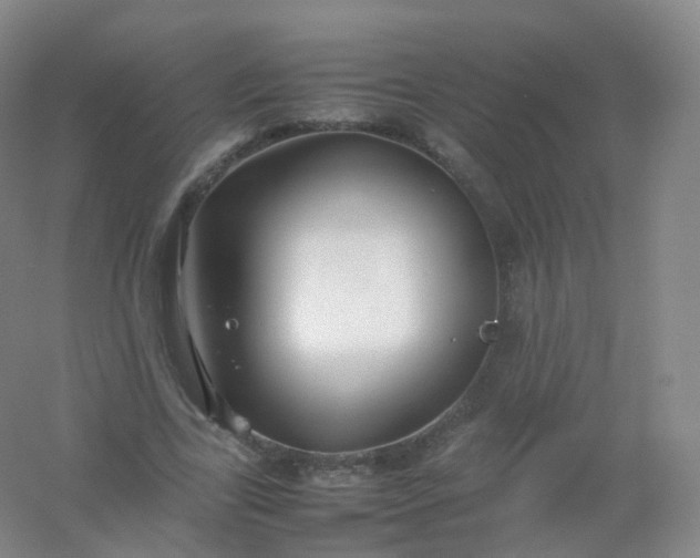 X0000054450731200508121910