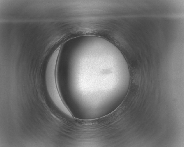 X0000054450740200508121910