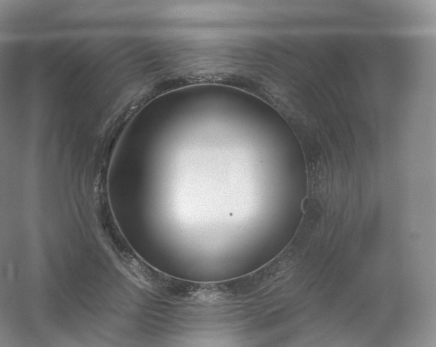 X0000054450742200508121910
