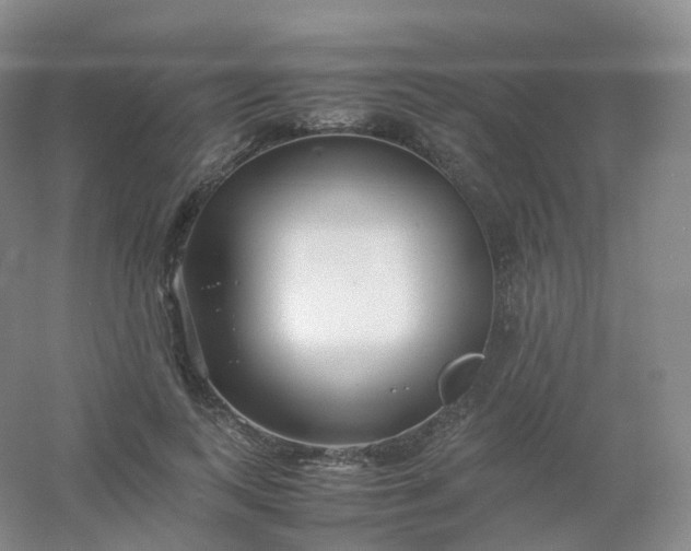 X0000054450743200508121910