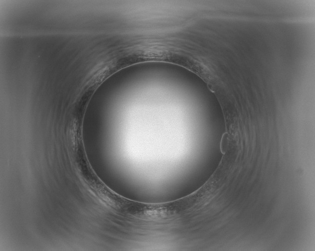 X0000054450744200508121910