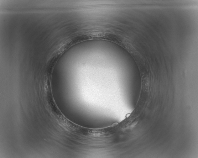 X0000054450746200508121910