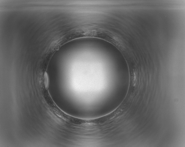 X0000054450748200508121910