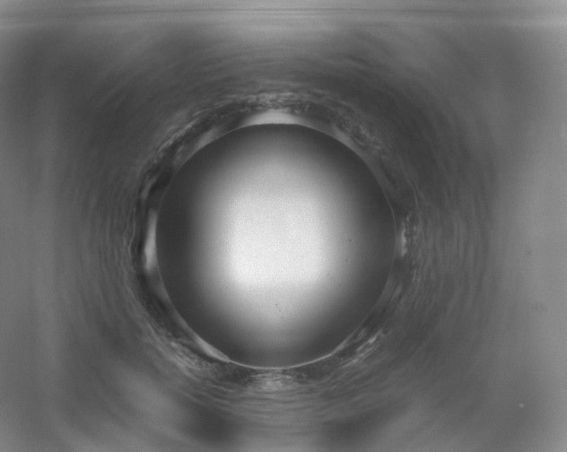 X0000054450750200508121910