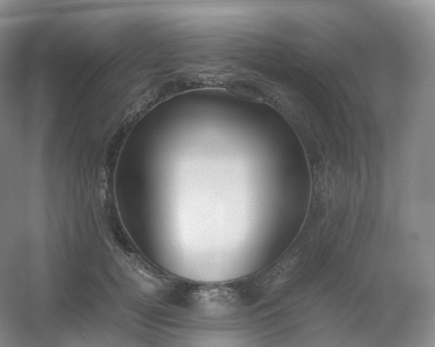 X0000054450752200508121910