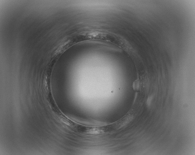 X0000054450754200508121910