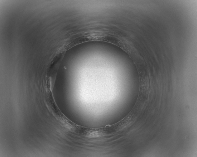 X0000054450755200508121910