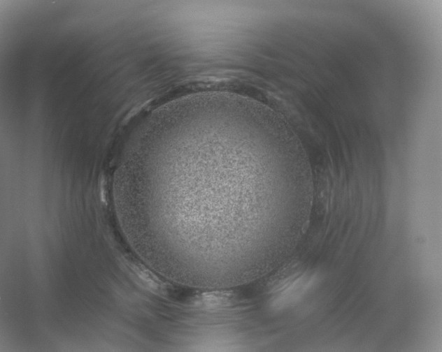 X0000054450758200508121910