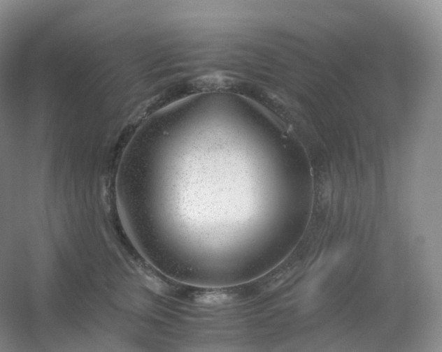 X0000054450759200508121910