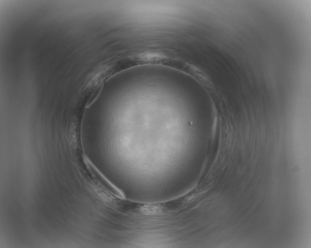X0000054450762200508121911
