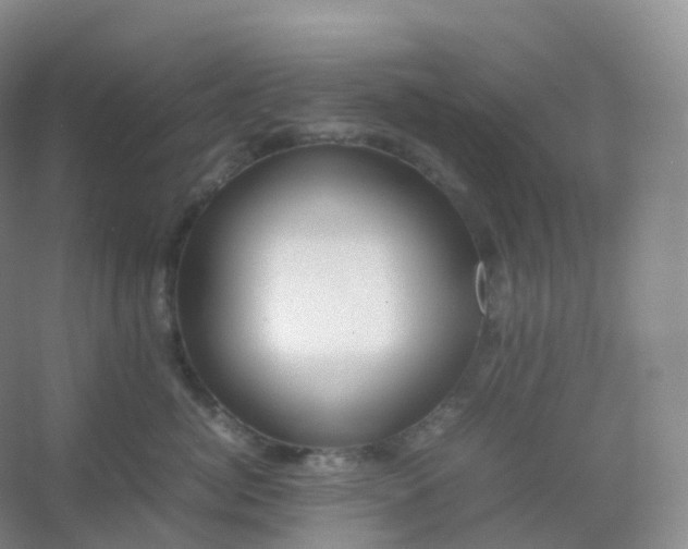 X0000054450764200508121911