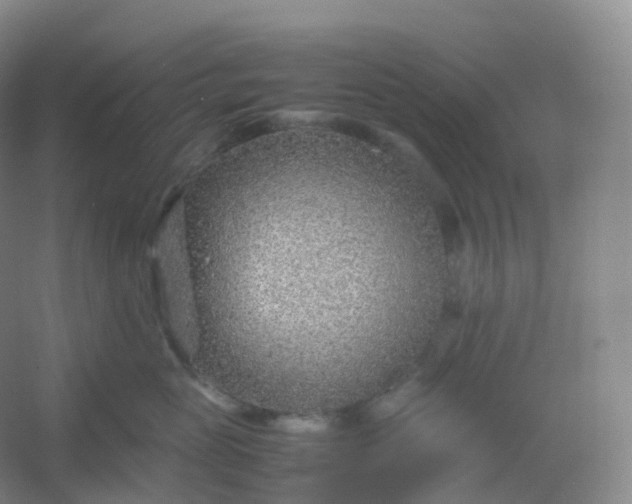 X0000054450765200508121911