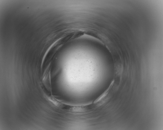 X0000054450766200508121911