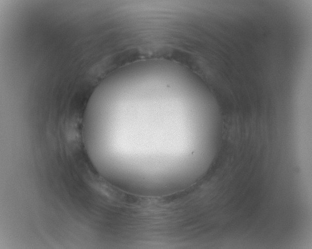 X0000054450770200508121910