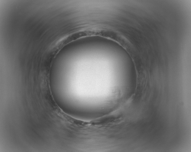 X0000054450773200508121910