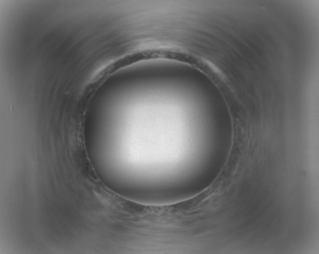 X0000054450775200508121910