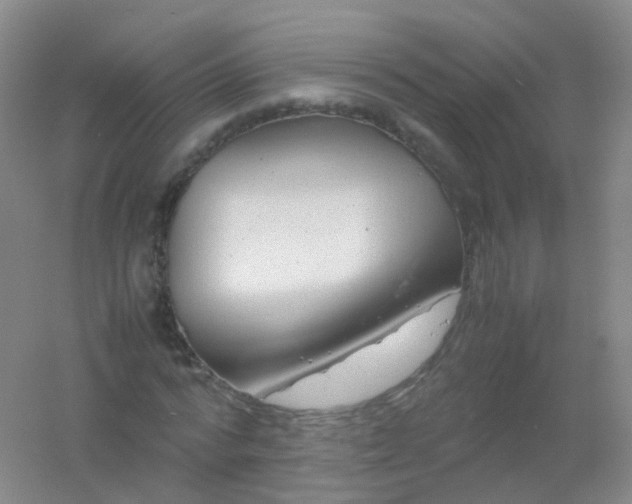 X0000054450776200508121910