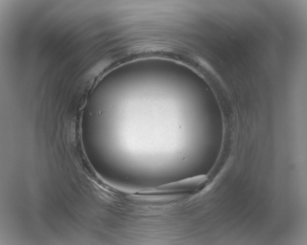 X0000054450777200508121910