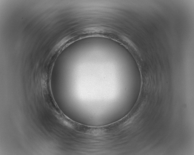 X0000054450778200508121910