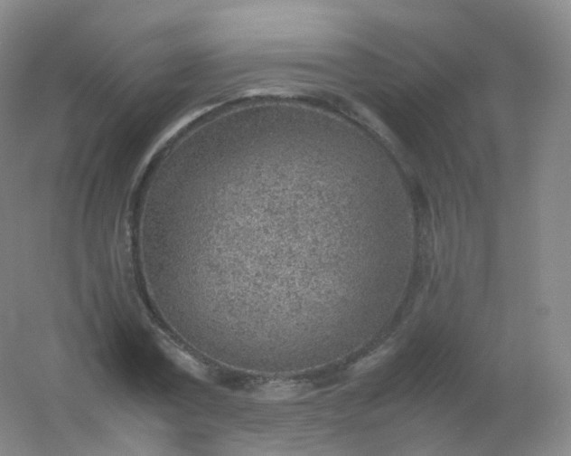 X0000054450779200508121910