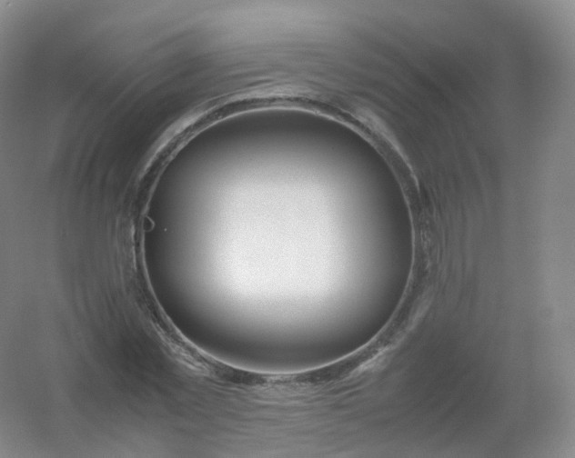 X0000054450781200508121910