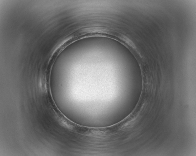 X0000054450782200508121910
