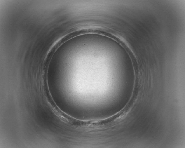 X0000054450783200508121910