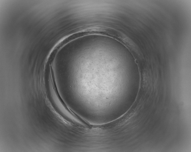 X0000054450784200508121910