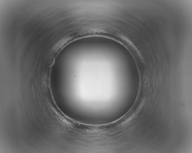 X0000054450785200508121910