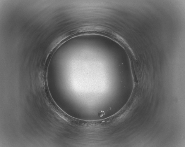 X0000054450786200508121910