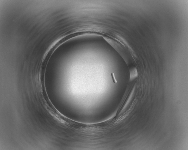 X0000054450788200508121909