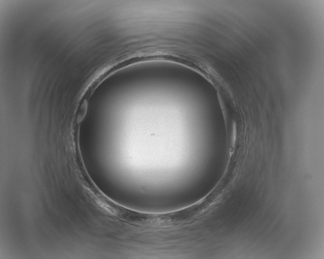 X0000054450789200508121909