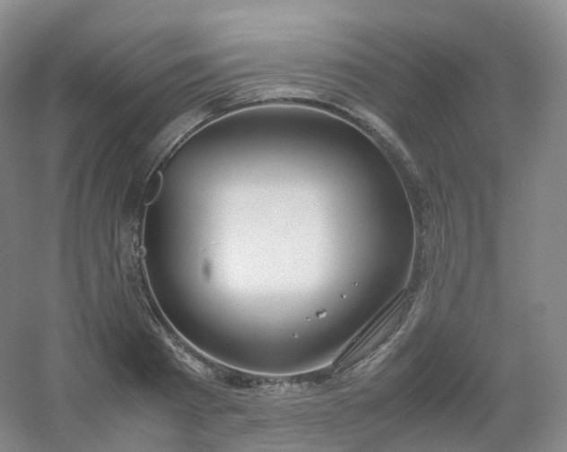 X0000054450793200508121909