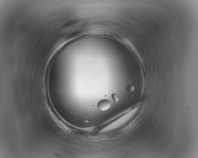 X0000054450795200508121909